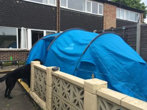 Image shows side view of tent with door panel open, against the low garden wall and with Guide Dog Fizz looking inside