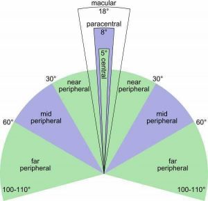 Images shows visual field on a semi-circular diagram, breaking down the different parts of the view. With the centre 5% highlighted and standing out from the main diagram.