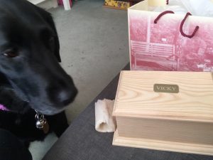 Photograph of a pale wooden box with the gold inscription “Vicky” on the top sat on a grey sofa with w small dog bone beside it that was placed there by Fizz the dog who is looking sadly at the bone and the box.