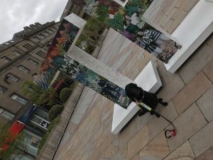 Fizz sat in front of a giant T as part of the THANK YOU installation, where I wrote my message of Thanks