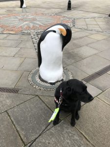 Pho graph of Fizz sat slightly infront of a life size statue of a penguin which sit amongst the paving beside The RRS Discovery