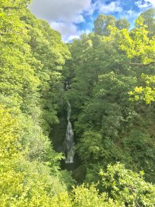 Photograph of small waterfall in the middle of trees and bushes, taken from the waterfall lookout opposite