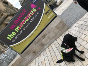 Photograph of the graffitied museum sign taken on an angle with guide dog Fizz sat in front of it.