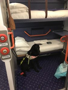 Photograph from the open electronic door on my berth, showing the open and close panel on the left, Fizz sat in front of the single bed which has an orange hand rail and a top bunk bed that is seen at the top of the picture