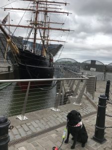 Photograph of Fizz sitting in front of The RRS Discovery on the dock side