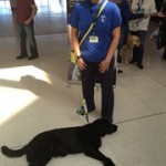 Tee stood in Cascade Shopping Centre on the campaign day with Fizz laid on the floor at my feet.